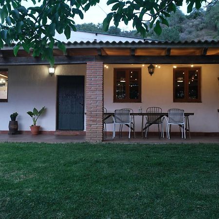 The Wild Olive Andalucia Palma Guestroom كاساريس المظهر الخارجي الصورة
