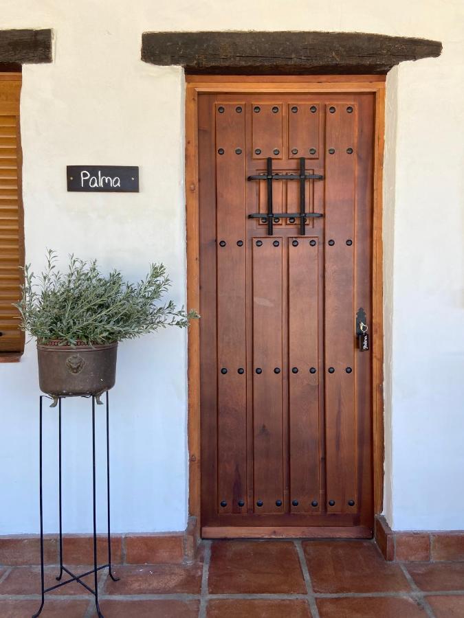 The Wild Olive Andalucia Palma Guestroom كاساريس المظهر الخارجي الصورة