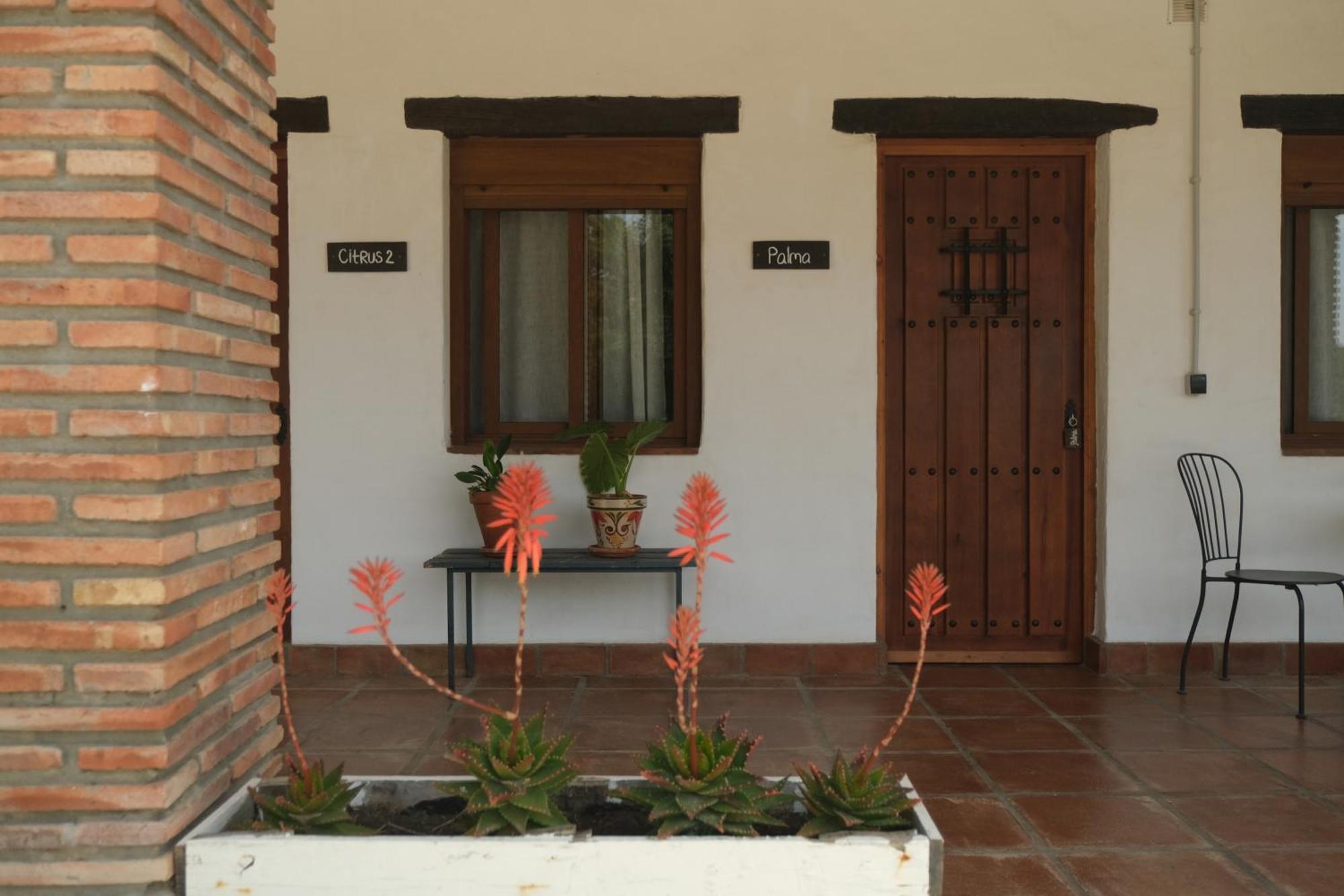 The Wild Olive Andalucia Palma Guestroom كاساريس المظهر الخارجي الصورة